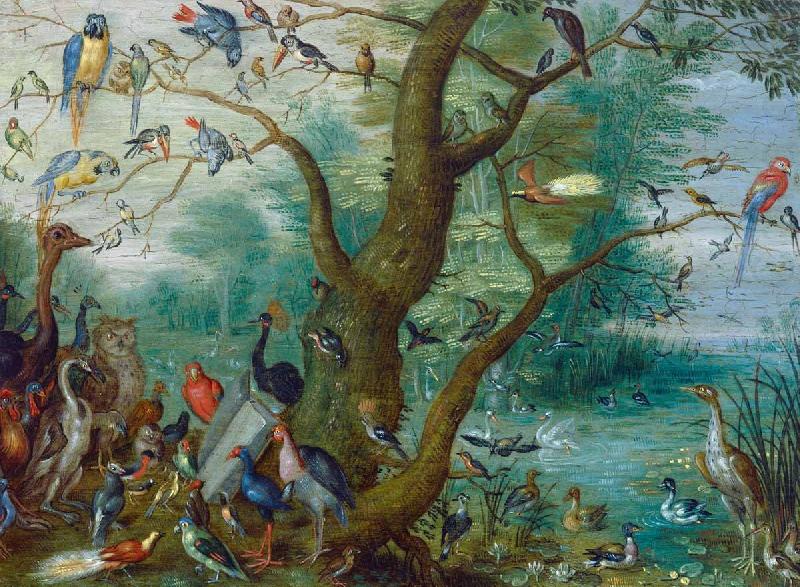Jan Van Kessel Concert van Vogels china oil painting image